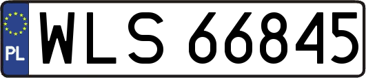 WLS66845