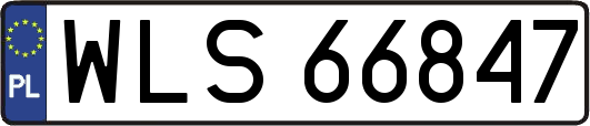 WLS66847