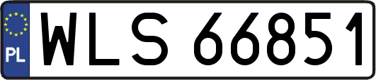 WLS66851