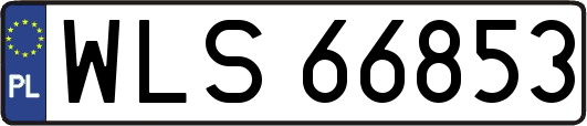 WLS66853