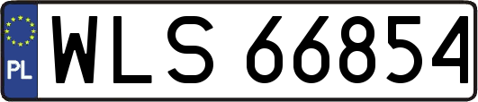 WLS66854