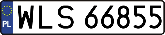 WLS66855