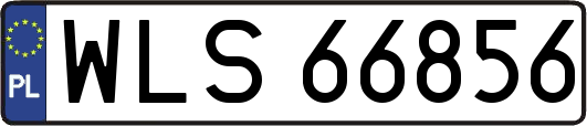 WLS66856