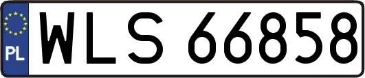 WLS66858