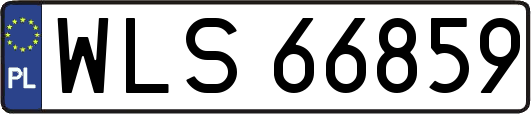WLS66859