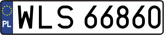 WLS66860