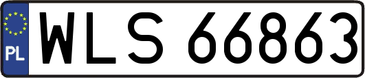 WLS66863