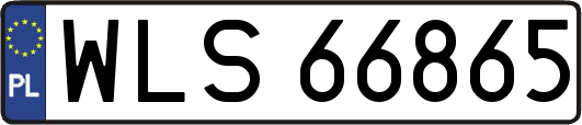 WLS66865