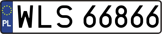 WLS66866