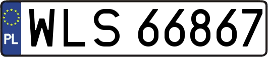 WLS66867