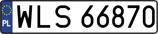 WLS66870