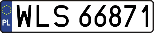 WLS66871