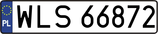 WLS66872