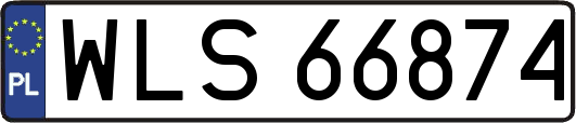 WLS66874