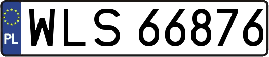 WLS66876