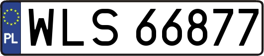 WLS66877
