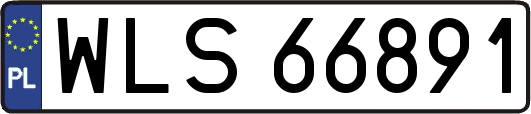 WLS66891
