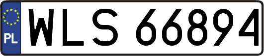 WLS66894