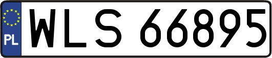 WLS66895