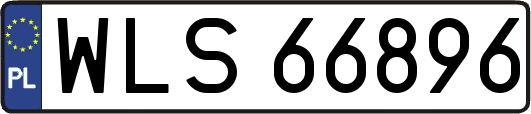 WLS66896