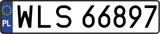 WLS66897