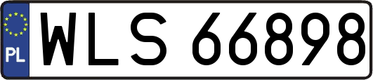 WLS66898