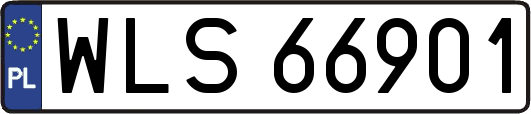 WLS66901