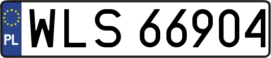 WLS66904