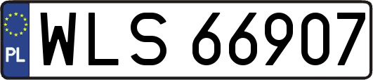 WLS66907