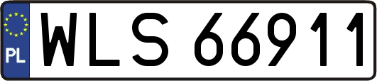 WLS66911