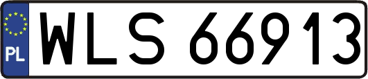 WLS66913