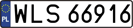 WLS66916