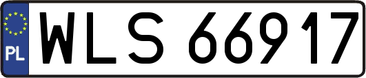 WLS66917
