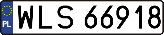WLS66918