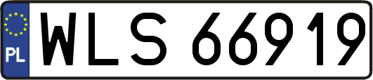 WLS66919