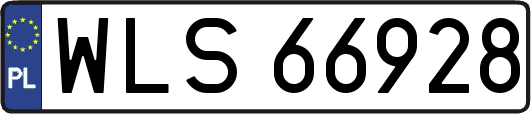 WLS66928