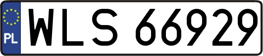 WLS66929