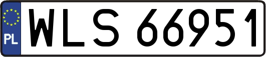 WLS66951