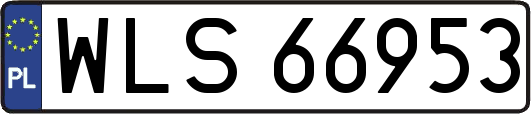 WLS66953