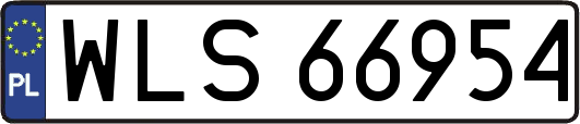 WLS66954