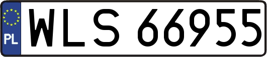 WLS66955