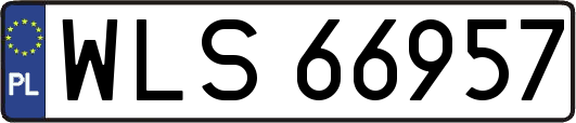WLS66957