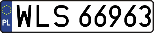 WLS66963