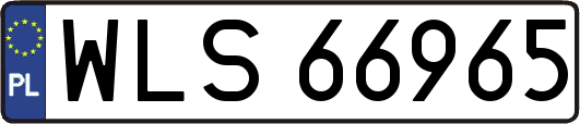 WLS66965