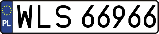 WLS66966