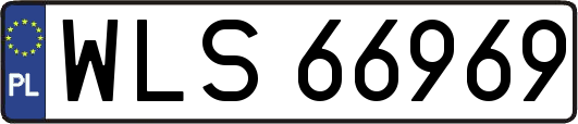WLS66969