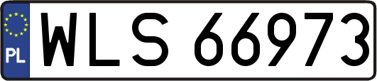 WLS66973