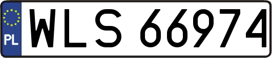WLS66974