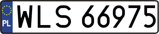 WLS66975