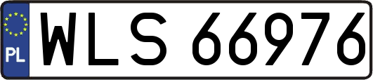 WLS66976